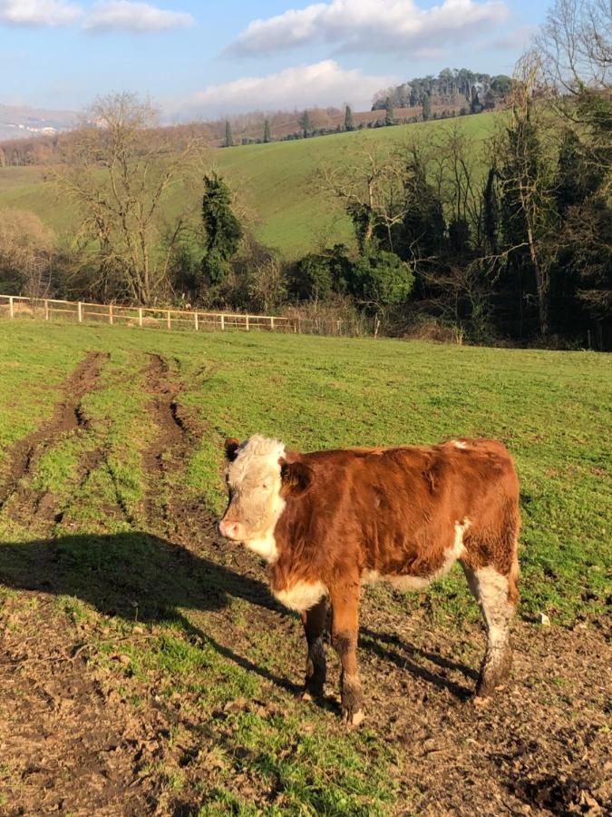 Tenuta Di Vico Moricino Anagni Eksteriør bilde