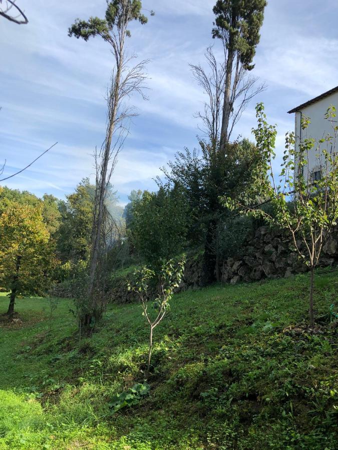 Tenuta Di Vico Moricino Anagni Eksteriør bilde